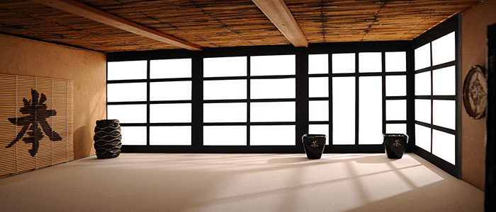 dojo